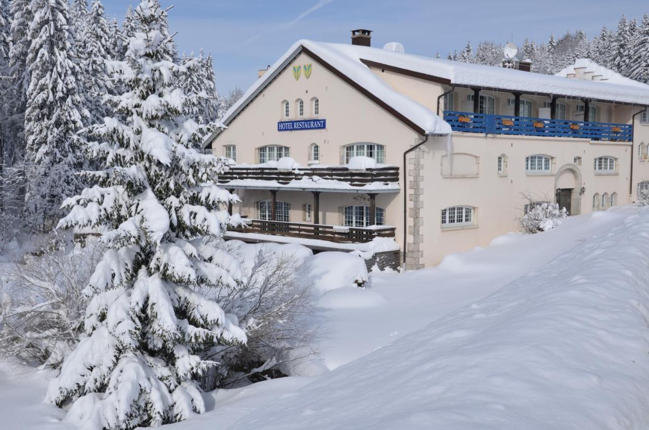 Aux Truites Bleues Hotel Fort-du-Plasne ภายนอก รูปภาพ